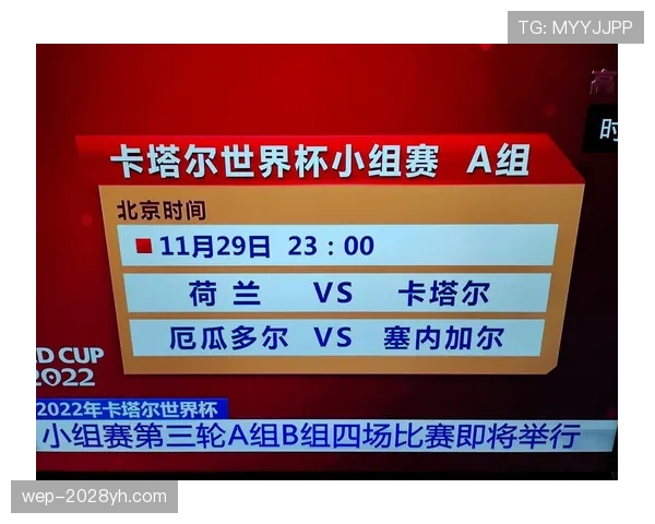 卡塔尔进入世界杯B组，出线形势全面解析
